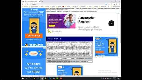 lite 4 u email extractor.